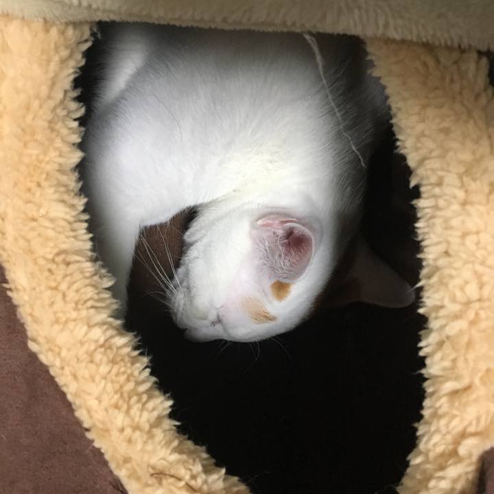 0b4977ad 9117 491e b3f4 265c312e579b 1514729190753