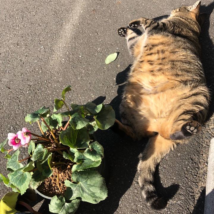 0b498d24 1ed9 48bc b831 9879cc486960 1542623124342