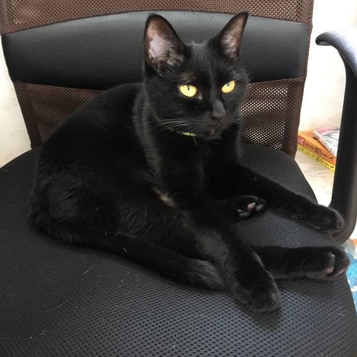 0b49ba25 159f 4064 811d ed9c12ac642e 1526451941962