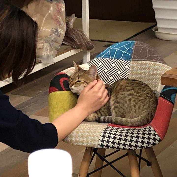 0b49bee5 e0a8 49bf af93 14e9e28a2422 1585878686692