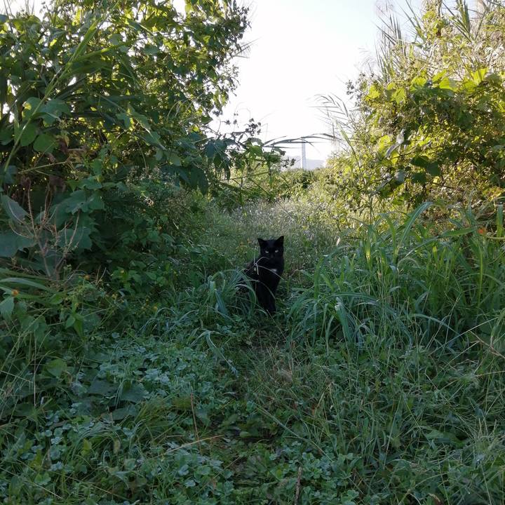 0b4a3d0f 1454 49e6 9966 444aa2b8612b 1571199452945