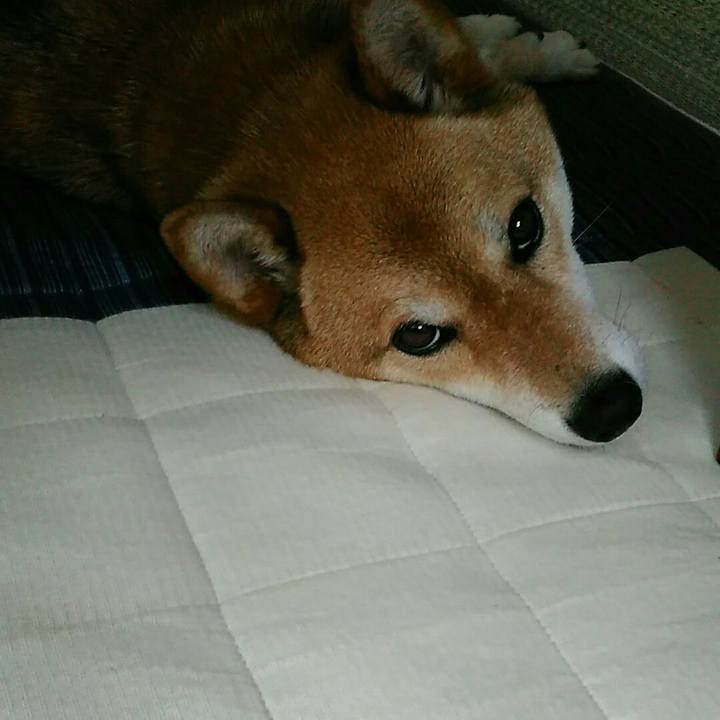 0b4a7d88 4973 4670 bcb9 599c42318e23 1563335683291