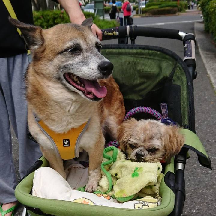 0b4aa028 ad1f 4cae b7b2 681bc96d5a91 1588346391013