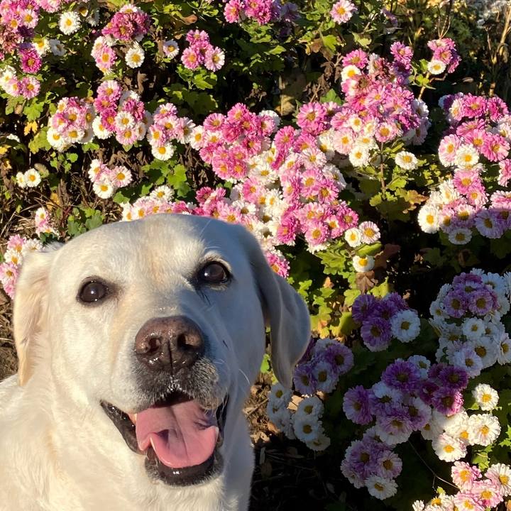 0b4aaca0 130d 49d2 a88e a35ff288d3dc 1668588501649