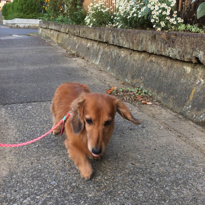 0b4b54d9 7c40 46f6 bec9 0d9b912ba00a 1573045044540