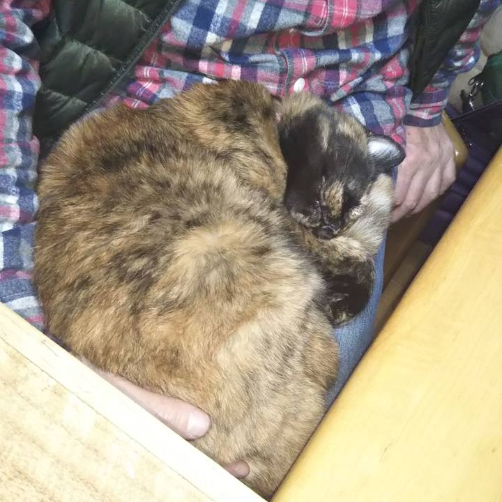 0b4b7cc1 82b1 4adb b18a 39101f9edf62 1611495537775