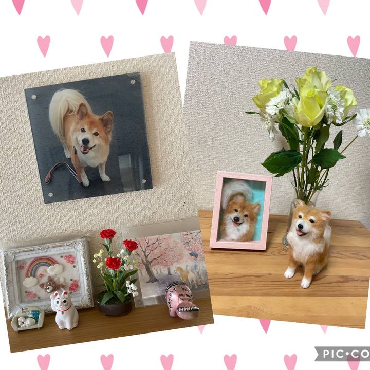 0b4b80ab 0025 4616 88b2 d0c6188db7cc 1663978504410