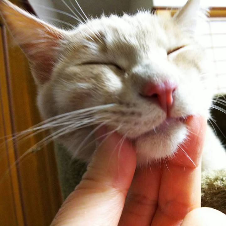 0b4b9769 552b 4e30 9a43 64a1a2288edf 1543579563880