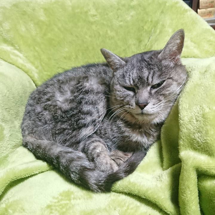 0b4b9d22 2d00 4dd0 9b5a d5b74a659597 1582628911665