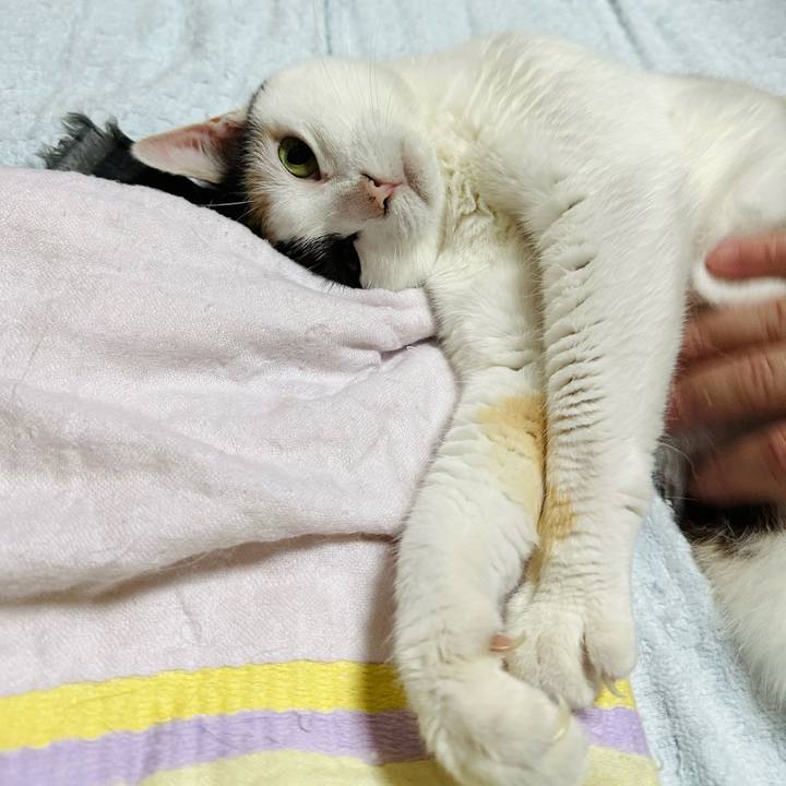 0b4bb5f7 7b6c 4d25 bb80 097df5f32a00 1688005483874