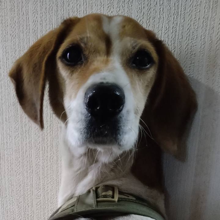 0b4bcaef d8be 43d6 9642 272017a622d9 1671802617963