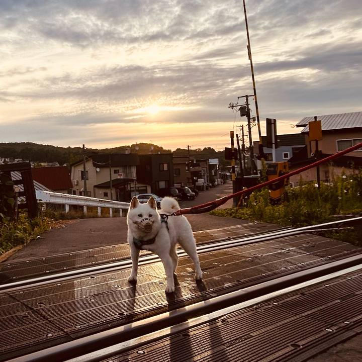 0b4c06a3 4295 4a9d 916b 2c4b1cefa985 1755118344869