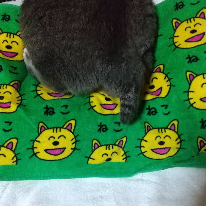 0b4c0f5f bf1c 48b8 be8a bdc44cbfbed6 1610622769683