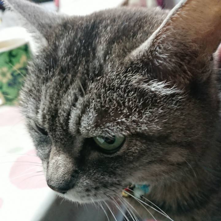 0b4c10ac 2e38 4bd4 98c9 68ab507e513c 1552427318383