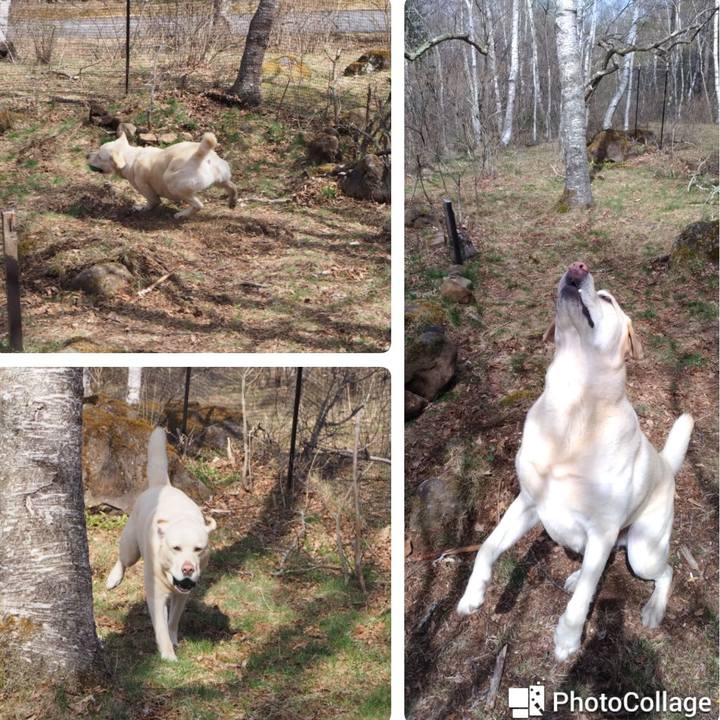 0b4c43d6 bb54 4257 b53d ef59e731ef4c 1620122028032