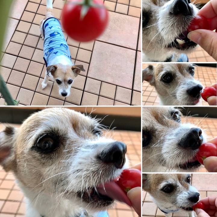 0b4c5100 a839 4bd7 92f2 4c2339987ba2 1629243917146