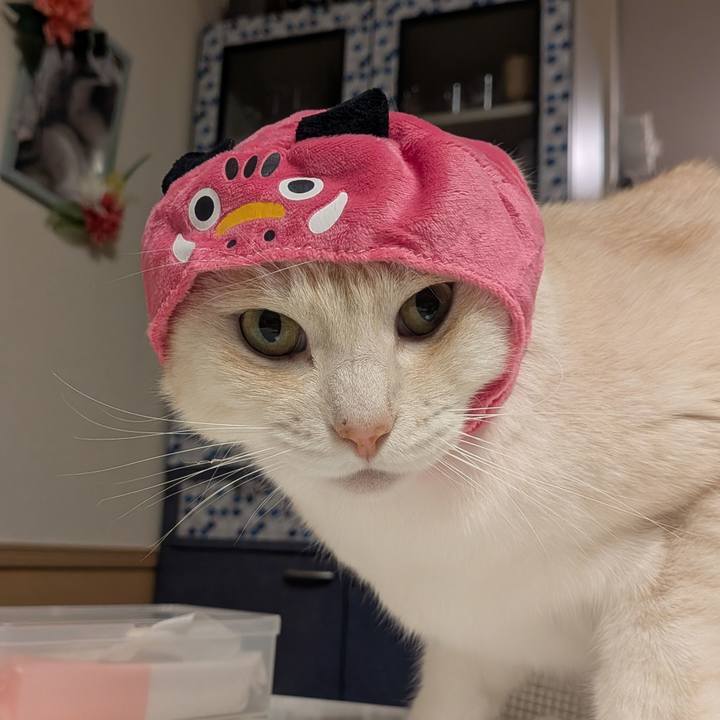 0b4c7cf6 f037 4a03 abbf b48c771444c3 1759308360525