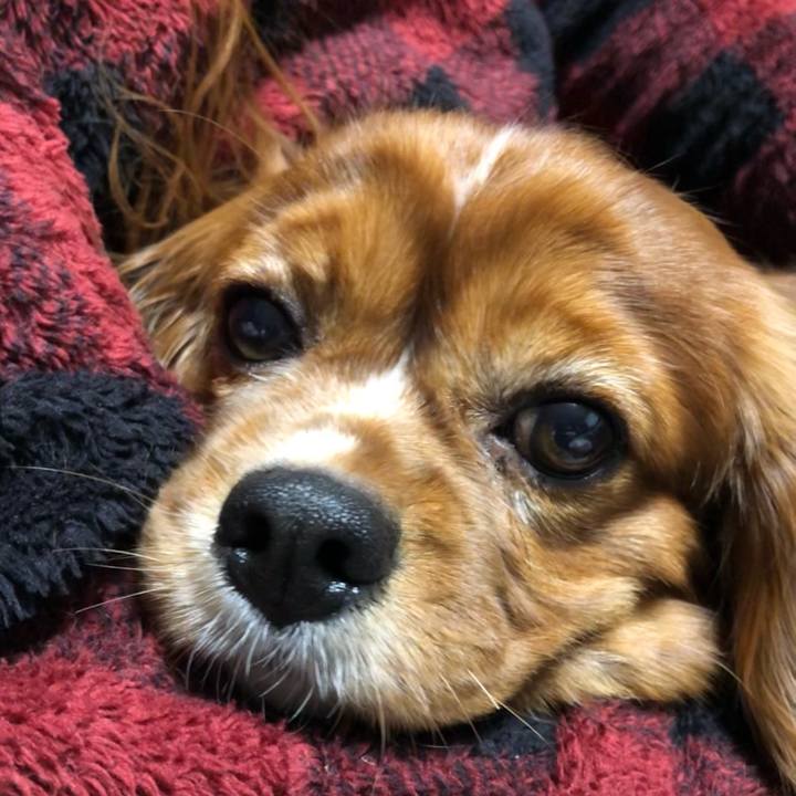 0b4c86b4 5bcf 489b 9caa 642f0008ac12 1636064067485