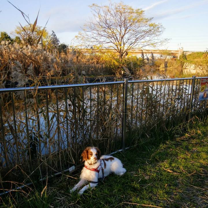 0b4d1c19 5f12 411b a8c3 6e1bbd76e1be 1544228006628