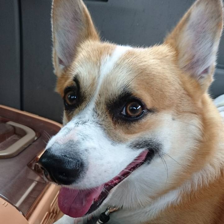 0b4d28b8 cf3c 4db3 bdcb 658803ac706f 1594430946652