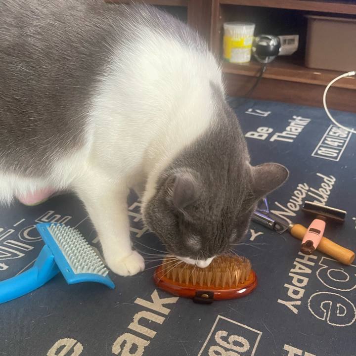 0b4d3307 4532 4355 a15b 31b96acc1cba 1725752286788