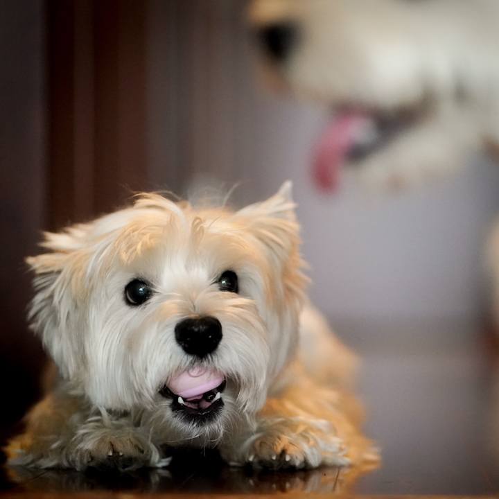 0b4da91e 6233 4ca3 8b24 94d51e5f7b5b 1536021605885