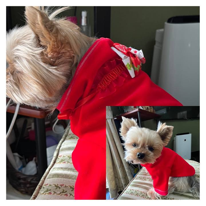 0b4db32a 274e 4e85 93c6 27f95e8ef432 1701753930655