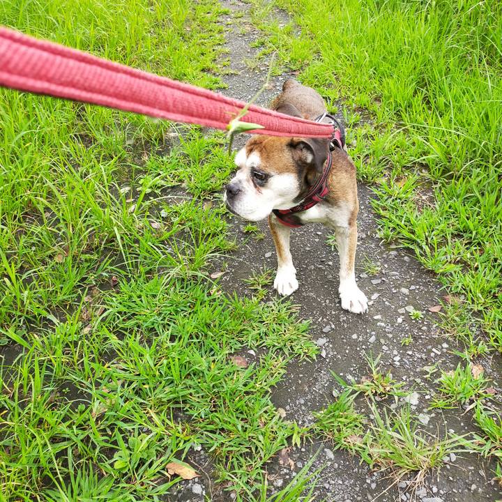 0b4db943 56ed 430b a88d 2011b47d7f9b 1661176162741