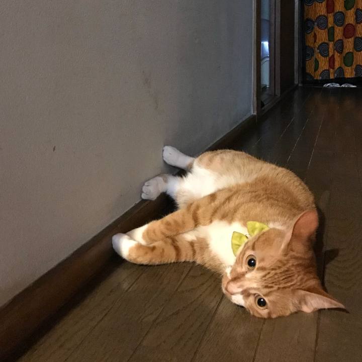 0b4dd06f 5e75 4a05 9878 1a76dcef5142 1531148335649