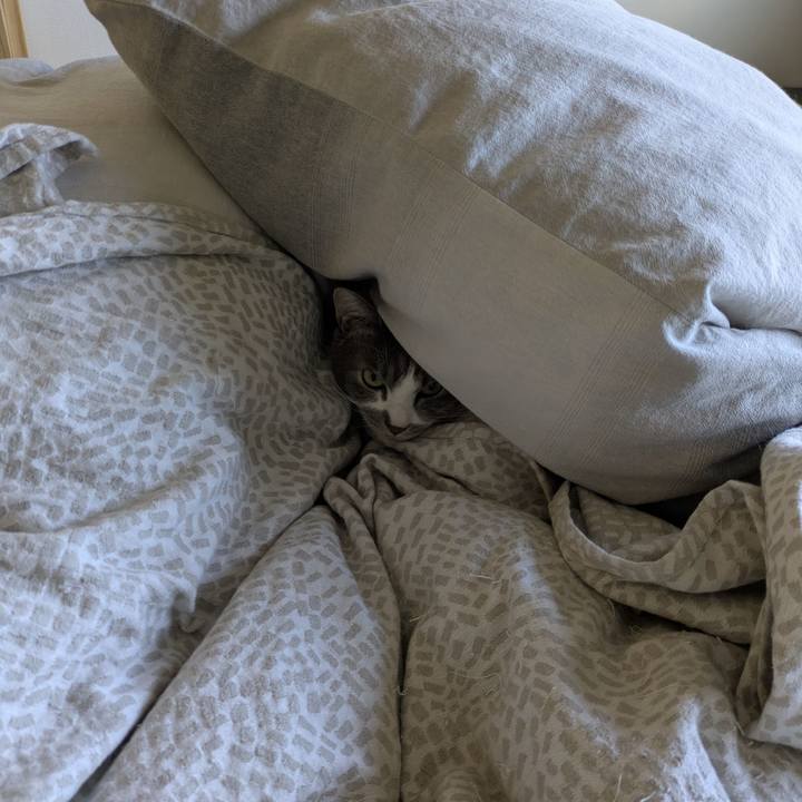 0b4de12a a8ba 4e8f a16a 7c8808ef14e9 1769057830631