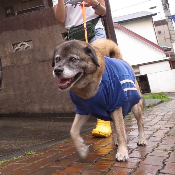 0b4deba2 3cf7 41d0 b072 a3303725f2f6 1587776872314