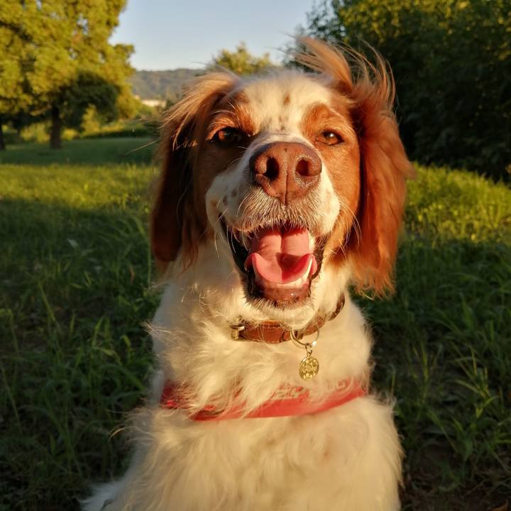 0b4e0fca 6349 4721 a27f f6cc1136baf0 1568030494066