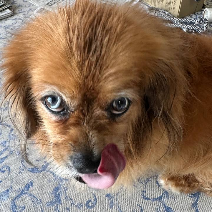 0b4e10ae 6c16 434c a2f4 8888d236b9c7 1753581315832