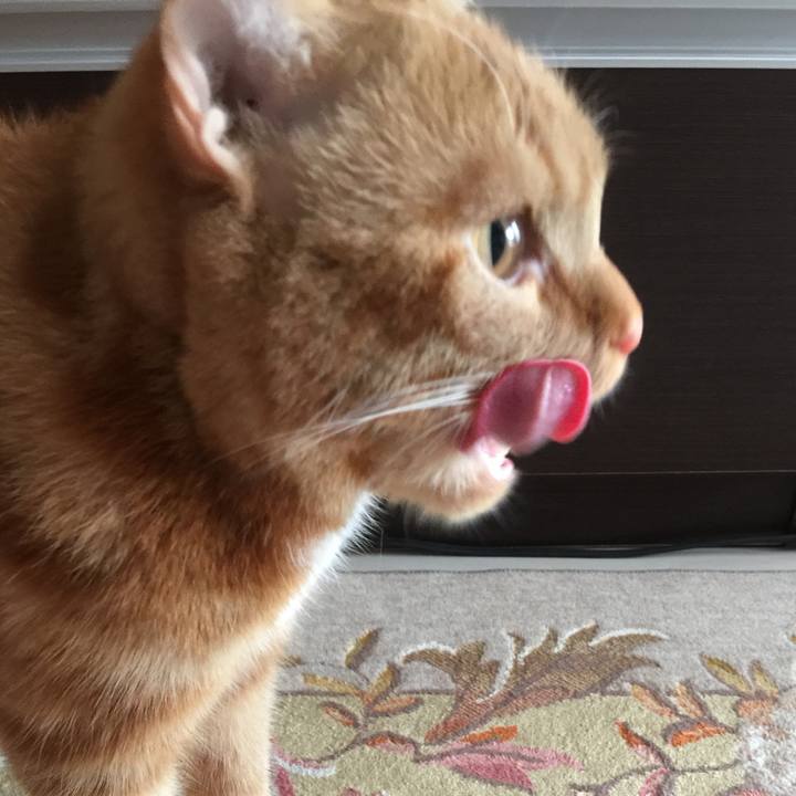 0b4e2147 9914 418e b37a af51f923b81a 1523159702332