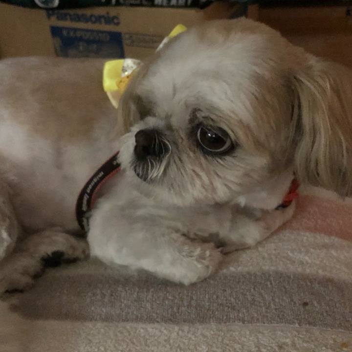 0b4e4be1 03d4 42e7 bf07 1298570ccbdd 1621893049133