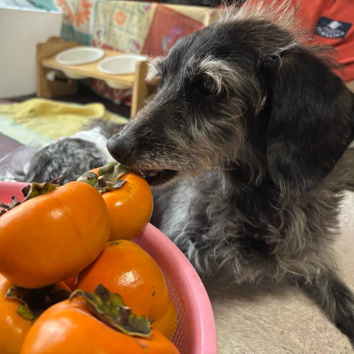 0b4e6828 7c64 4622 aa63 1c9ad5e67eb4 1763162242110