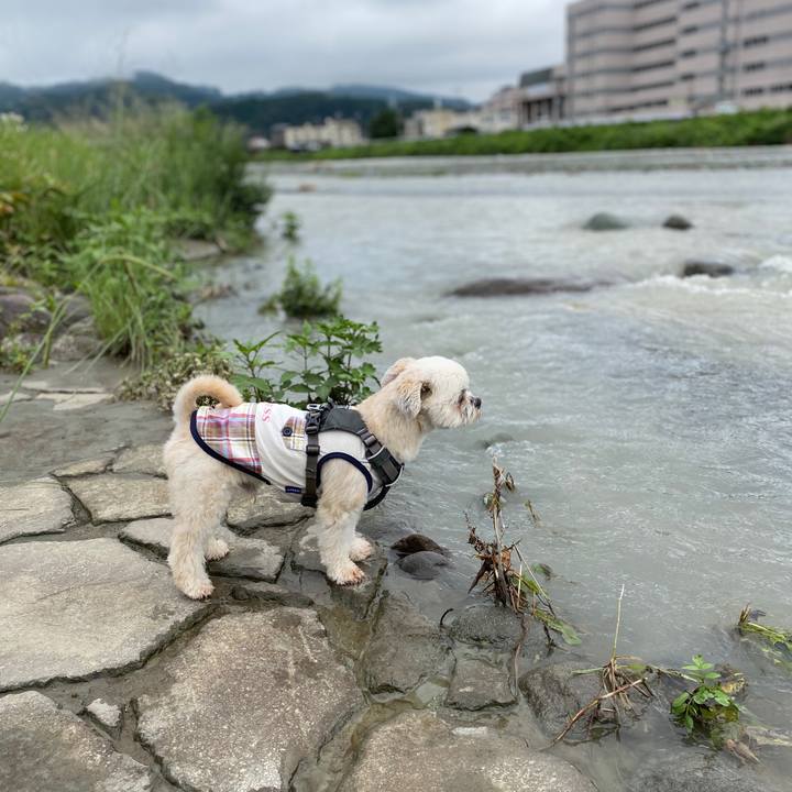 0b4ed37d 33f7 4fe8 b61e 22affb1db10c 1595064252198