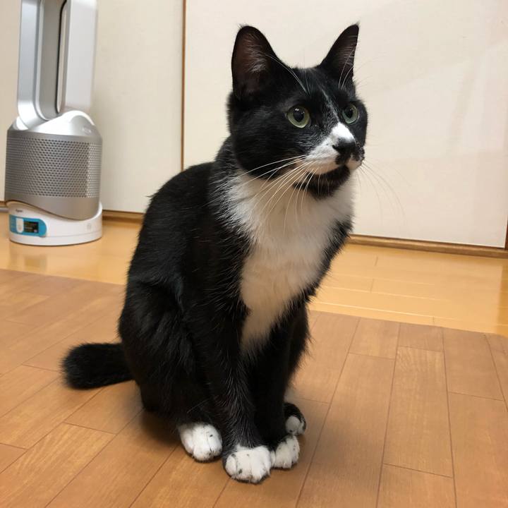 0b4f52f8 1a51 42fd 81d4 25c1642a2c94 1538355946195