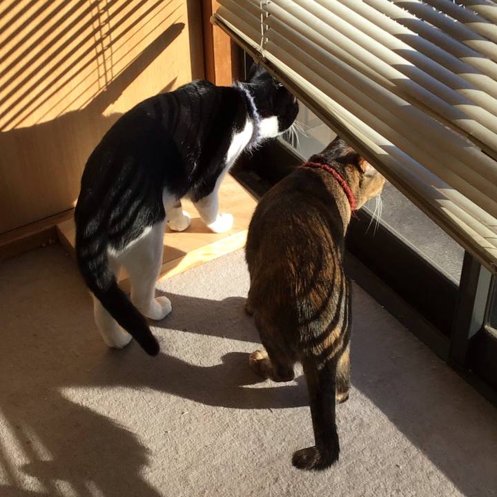 0b4f6e2a 12a6 4fdf b9cf 9df583fc05fd 1641362329548