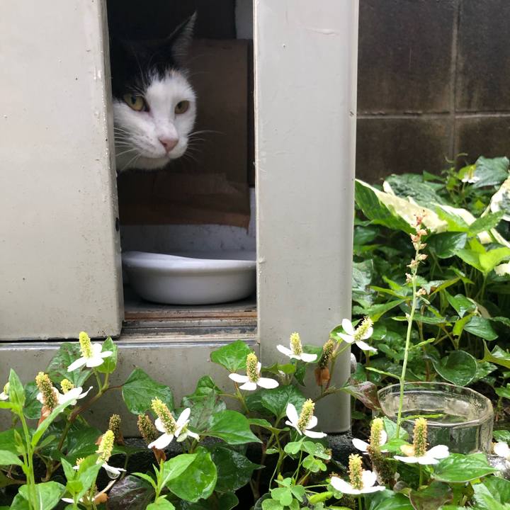 0b4f86e3 66d1 4f60 9521 4549caba1ceb 1622758574761