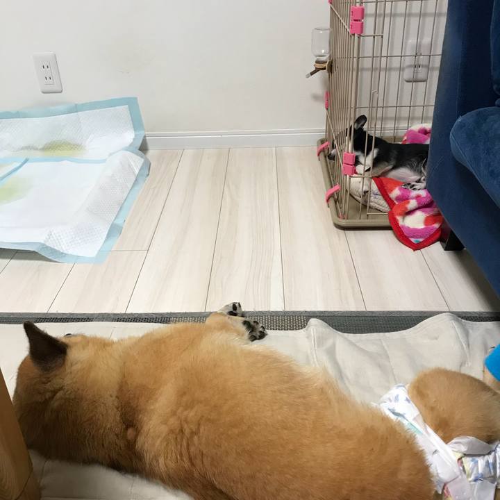 0b4f9969 24fd 4559 a161 68b8b014cebc 1538304246211