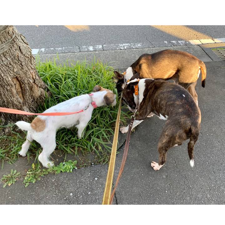 0b4fe15a 95f1 4492 a9f0 4c88df3df1c9 1603618930632