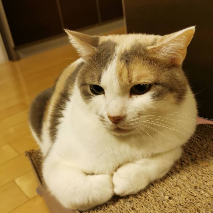 0b4fe761 a62d 4787 b6a5 882c8e7aa9ad 1677815791171