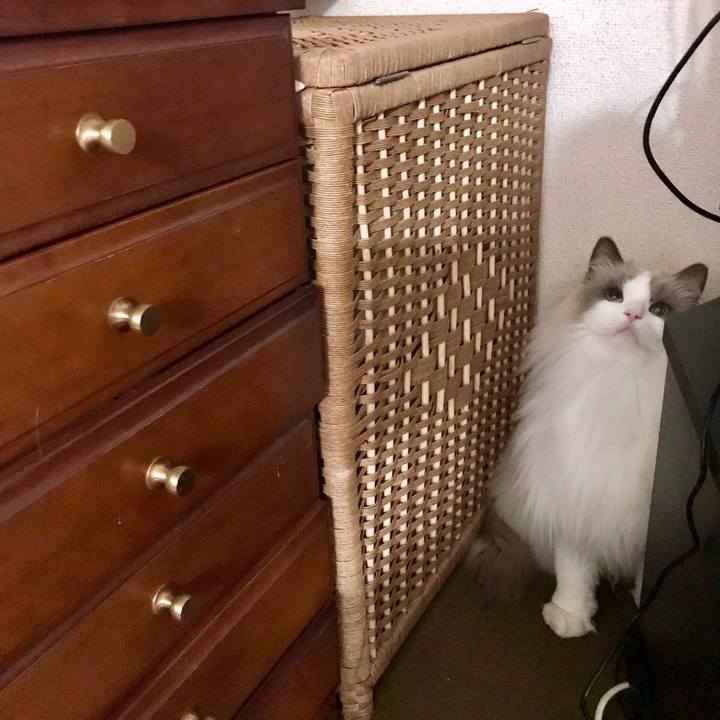 0b4ff1ff 50ab 4fb1 88c8 0008fd68179e 1612258887774