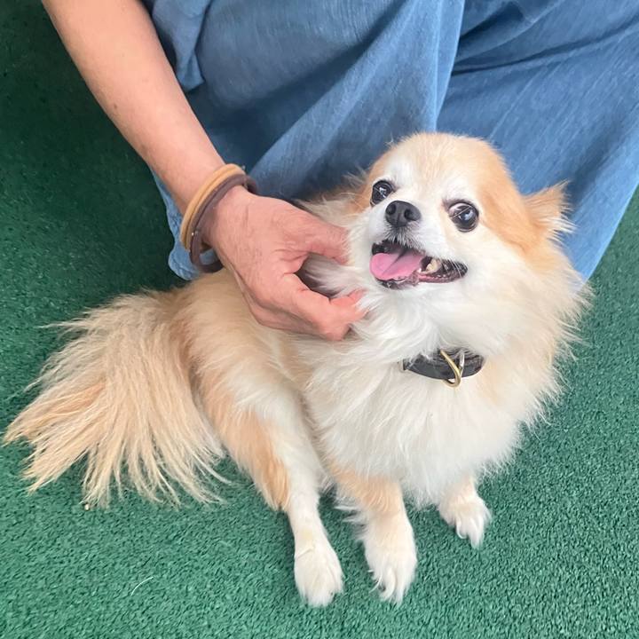 0b4ff424 06aa 4f79 8cf4 bcdda6598b74 1752245049774