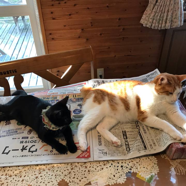 0b4ff7d9 a77d 4969 b41a c7f80d9bf368 1568064848214