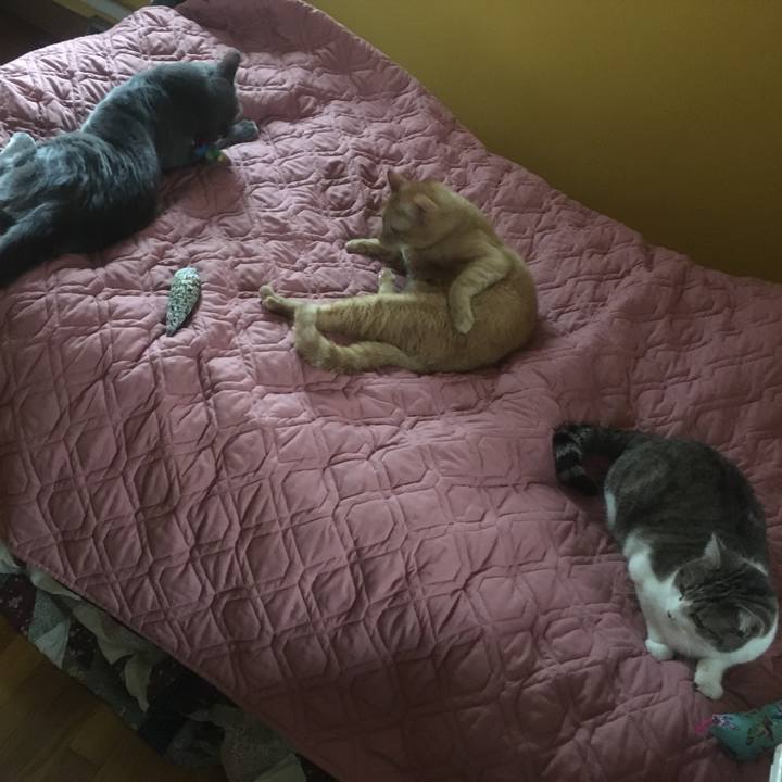 0b4ffc86 9ed4 4328 bfb4 f24c0c6e08a8 1633133563028