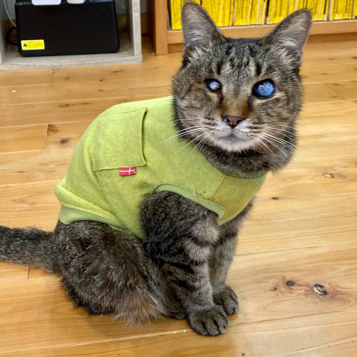 0b501ed6 34da 4d82 8b35 572217792a93 1682303933356