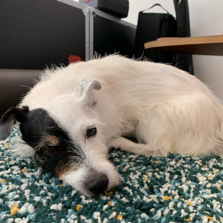 0b5039a0 3ada 4da4 a543 b60119b9049a 1722661720907