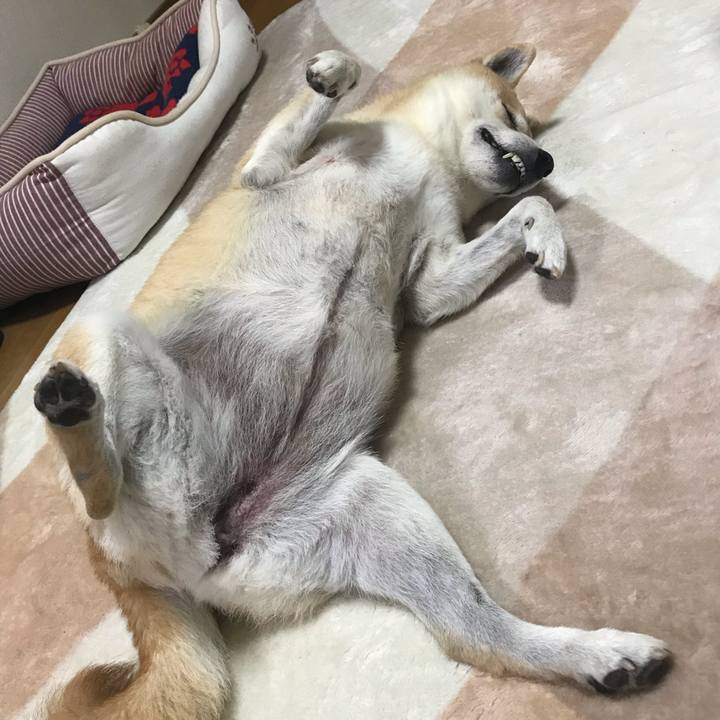 0b50678b ac1e 40fd 83fd 1cf560d4836f 1547039162579